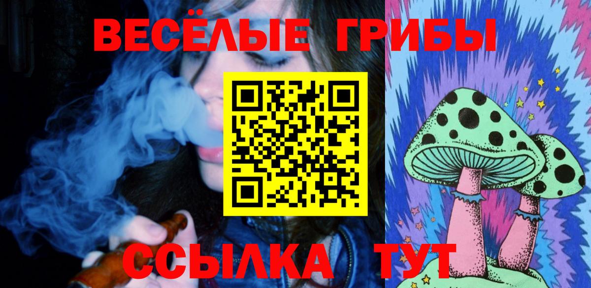 Галлюциногенные грибы прущие грибы  Вход с VPN  Истра 