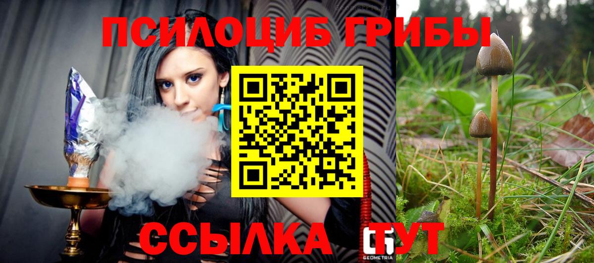 Галлюциногенные грибы Psilocybine cubensis Истра